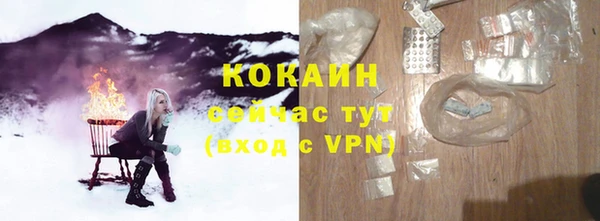 ГАЛЛЮЦИНОГЕННЫЕ ГРИБЫ Аркадак