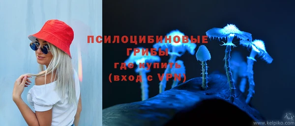 ГАЛЛЮЦИНОГЕННЫЕ ГРИБЫ Аркадак
