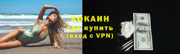ГАЛЛЮЦИНОГЕННЫЕ ГРИБЫ Аркадак