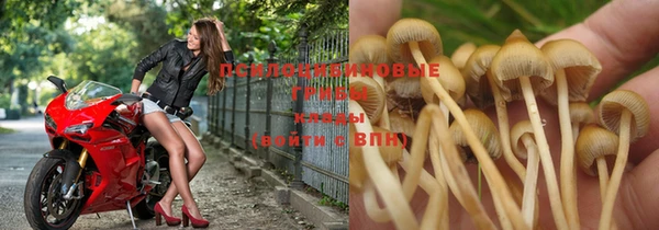 не бодяженный Арсеньев
