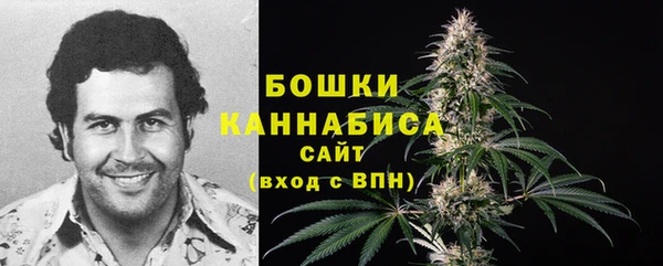 ГАЛЛЮЦИНОГЕННЫЕ ГРИБЫ Аркадак