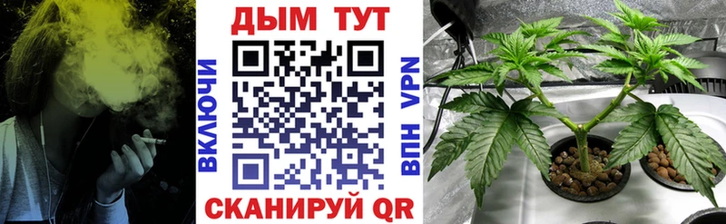 Конопля OG Kush  Терек 
